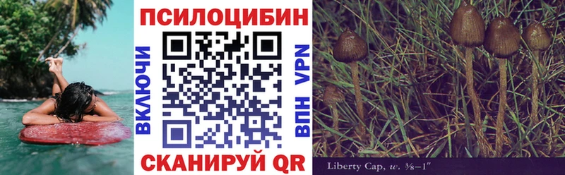 Псилоцибиновые грибы ЛСД  Каргат 